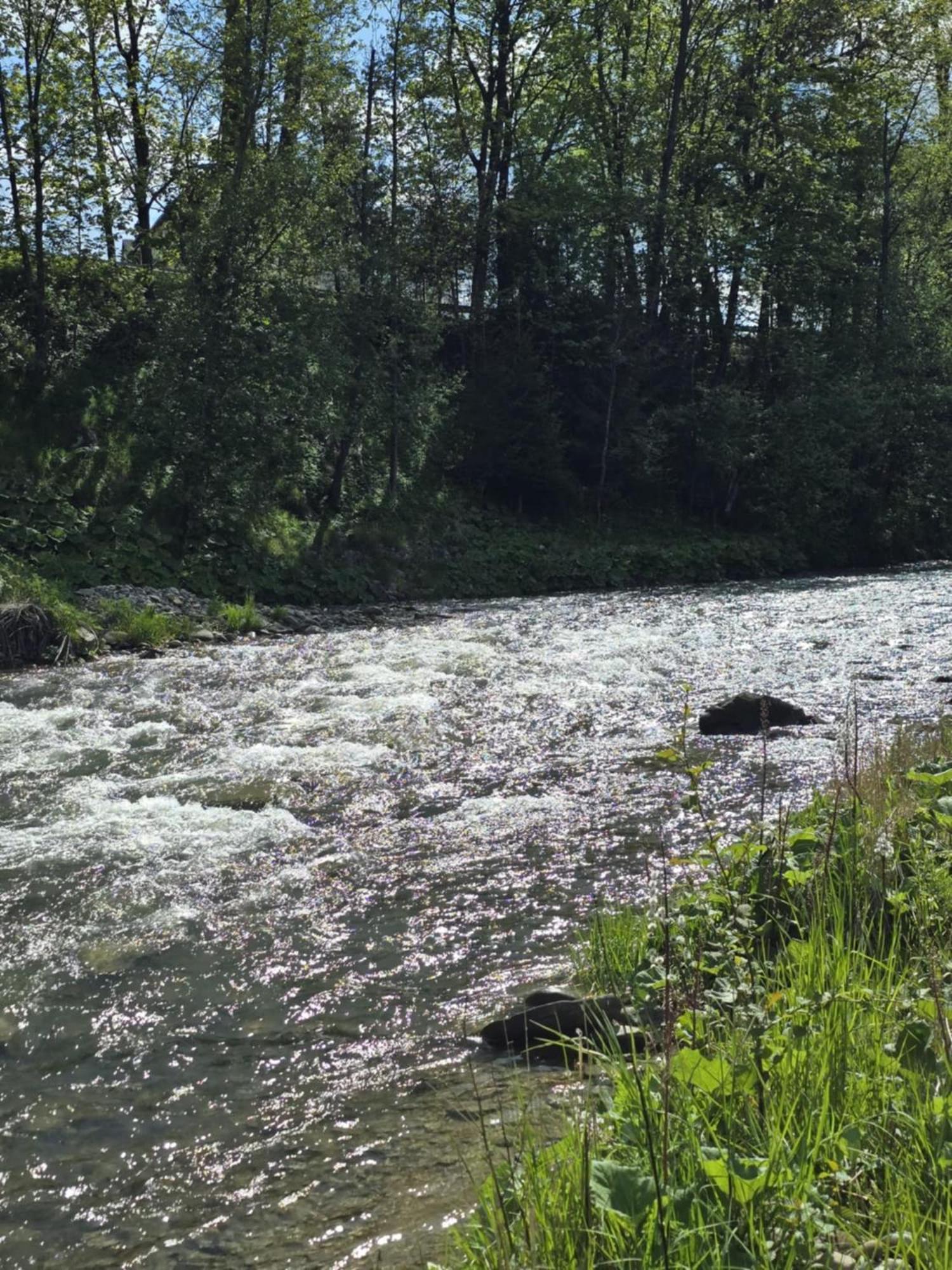 Chocholowska Zohylina I Alloggio in famiglia Chocholow